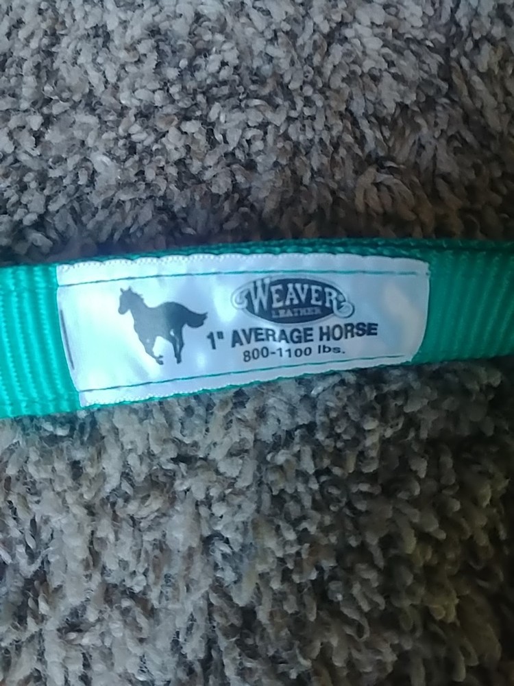 CUSTOM Bedazzled Bronc Halter