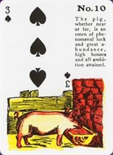 Gypsy Witch Fortune Telling Cards, Playing Card Deck!
