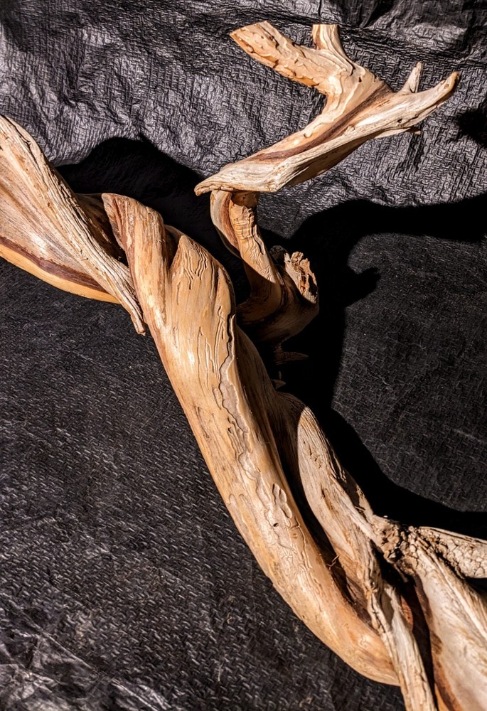 Twisted juniper Branch Aquarium Piece
