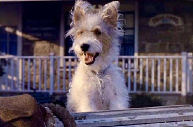 The Ghost & Mrs. Muri - Complete TV Series