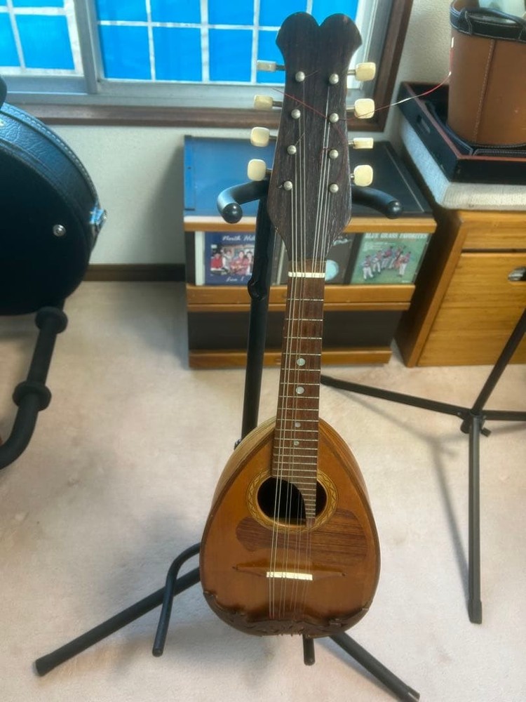 wooden 8 string mandolin