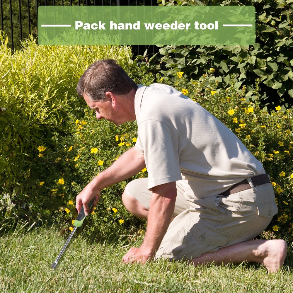 Dandelion Removal Tool, Weed Puller Tool, Hand Garden Tools, Stainless Steel ...