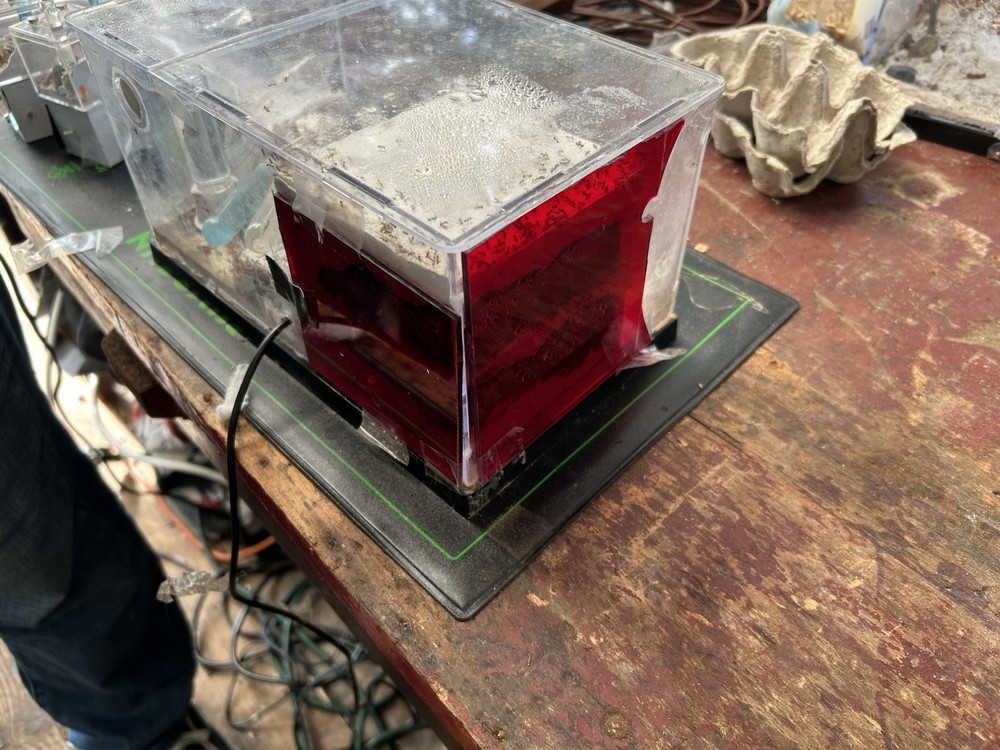 Formicarium