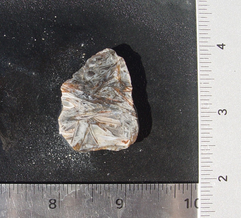 Stick Agate Lapidary Slab T1244