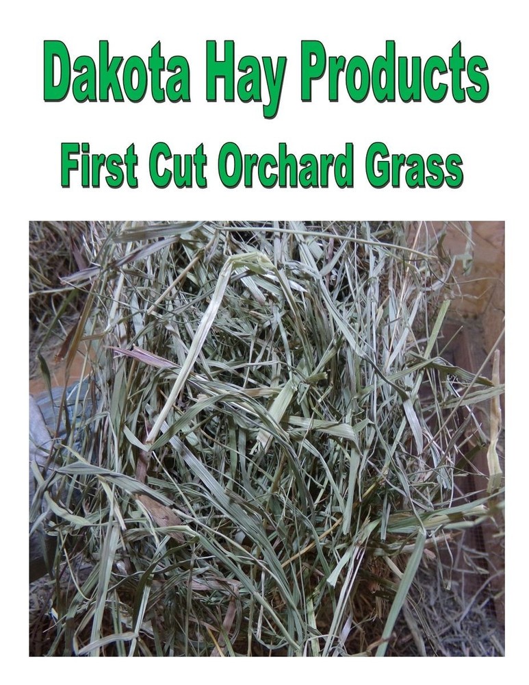 First Cut Orchard Grass 2.5 pound bale