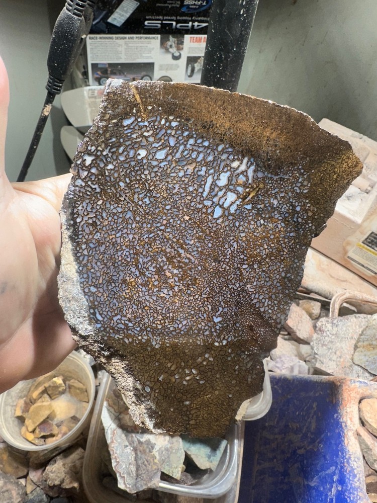 Dinosaur bone rough **hxtled slab.