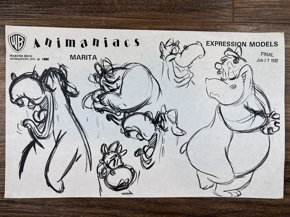 Animaniacs 1992 Production Art Expression Studio Copy Warner Brothers Animation