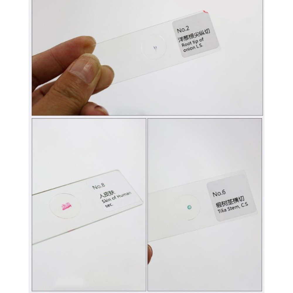 10 PCS/Set Specimen Slides for Microscope and Coverslips Concave