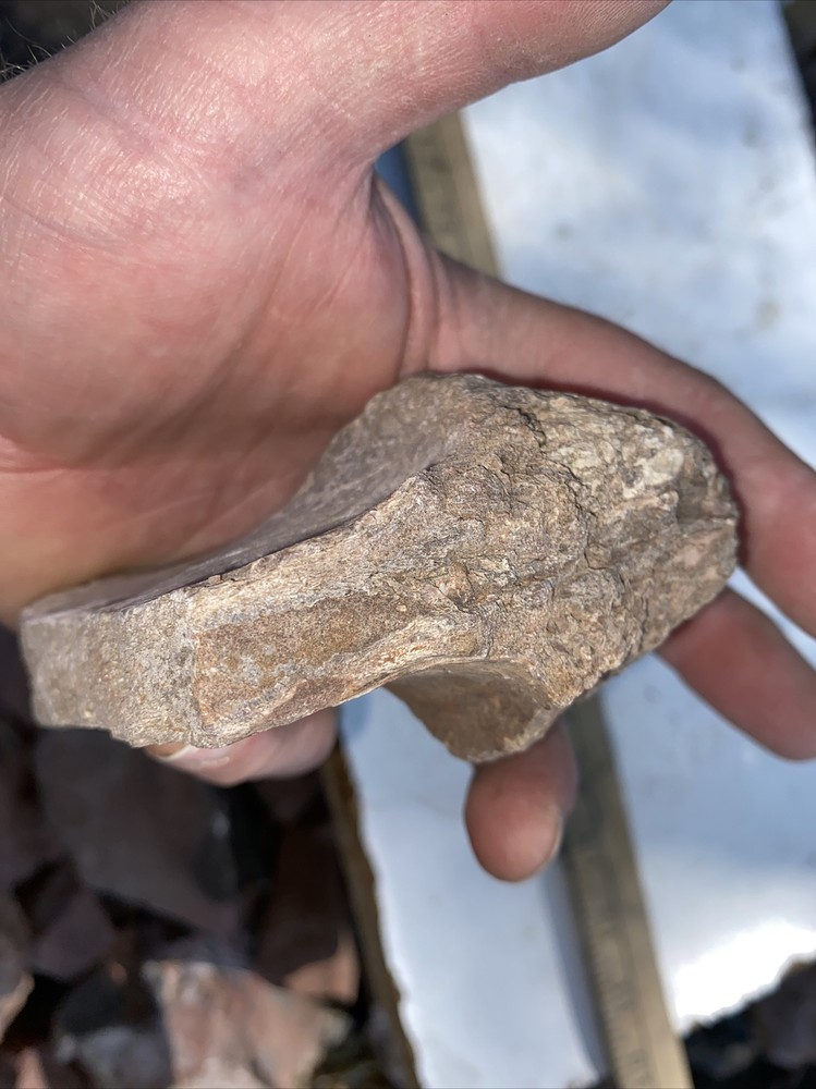 Structural dinosaur bone