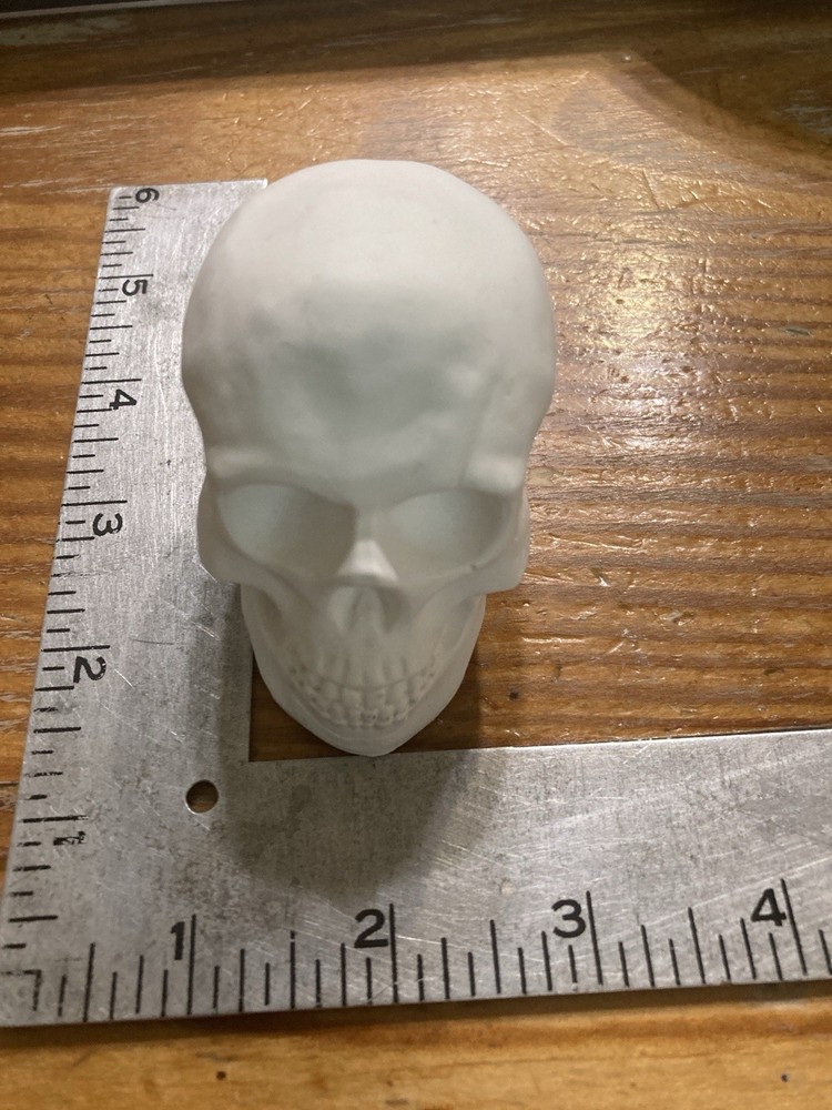 Human Skull Model Solid Plaster Small 3"x 2"x 3" Qty=3🔥🔥🔥🔥🔥🔥