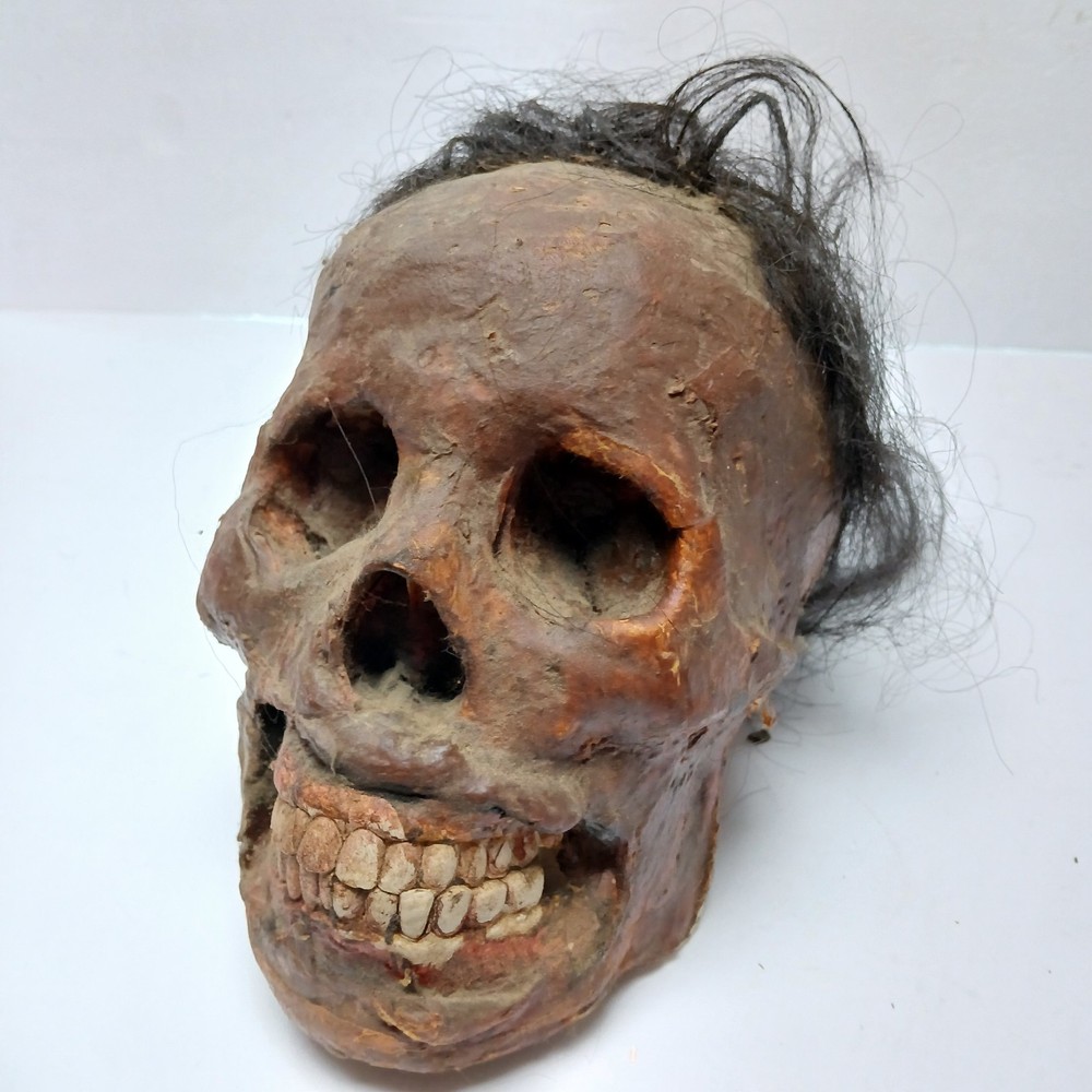 Screen Used Prop Skull From The Gateway Meat By Ron DeCaro