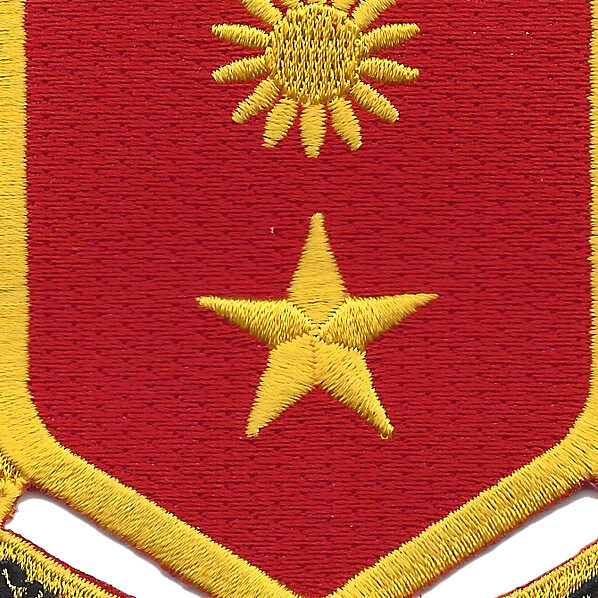 311th Cavalry Regiment Patch