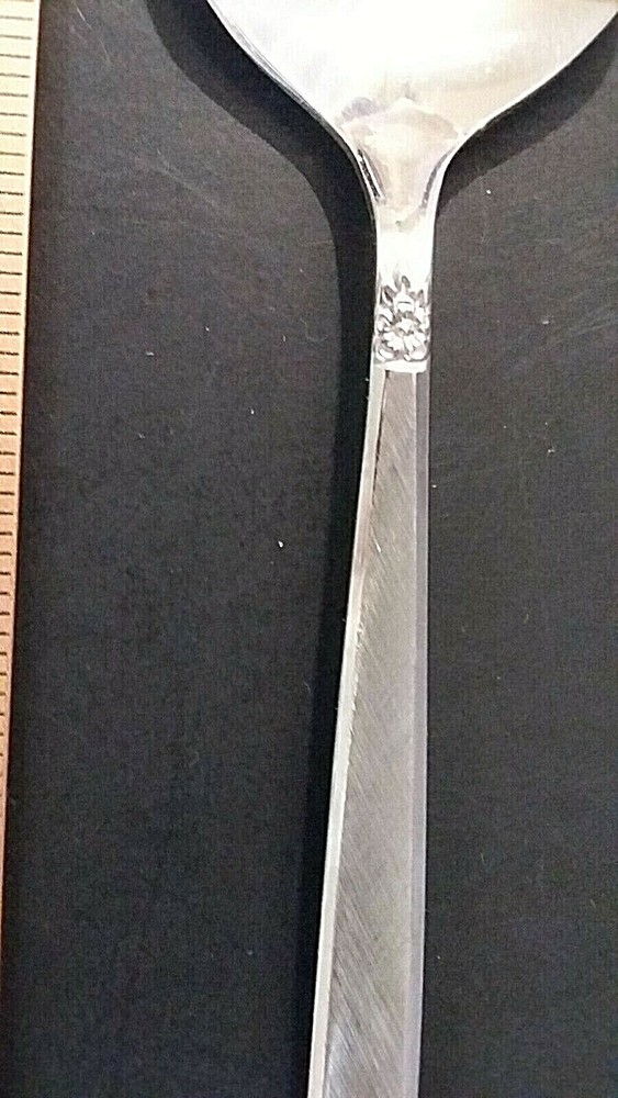 Oneida Melissa stainless 7" oval soup spoon