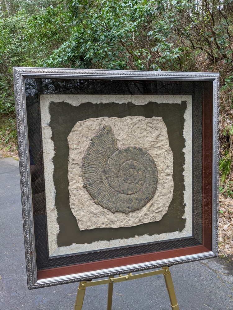 John Richard Neiman Marcus Mixed Media 3-D Shadowbox Art Nautilus Shell - Stone