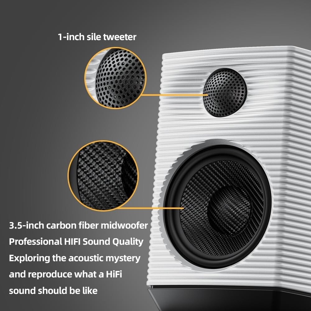 FiiO SP3 Powered HiFi Active Desktop Speaker-80W Stereo Computer Speaker (Black)