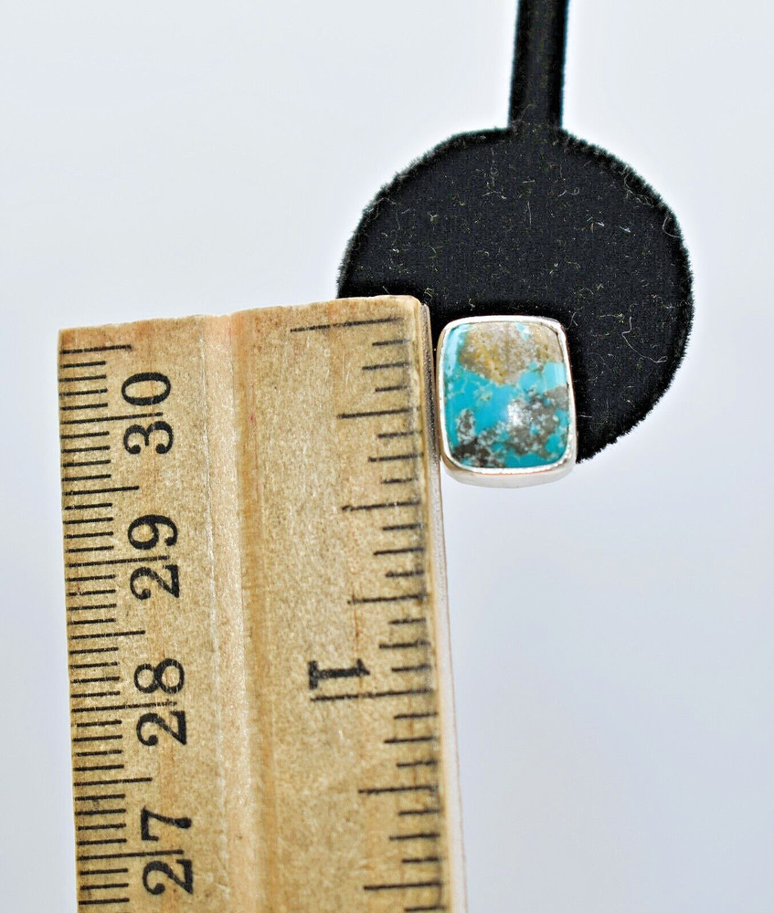 Campo Frio Turquoise Sterling Silver Rectangular Earrings by Ryan Schoolfield