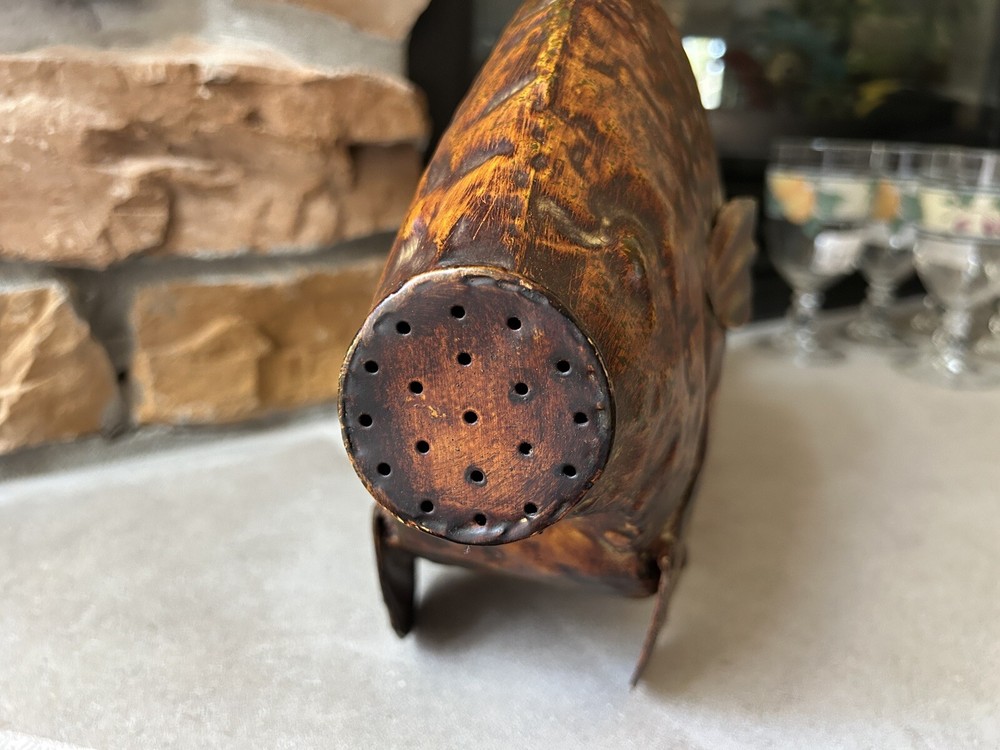 Whimsical Fish Watering Can Art