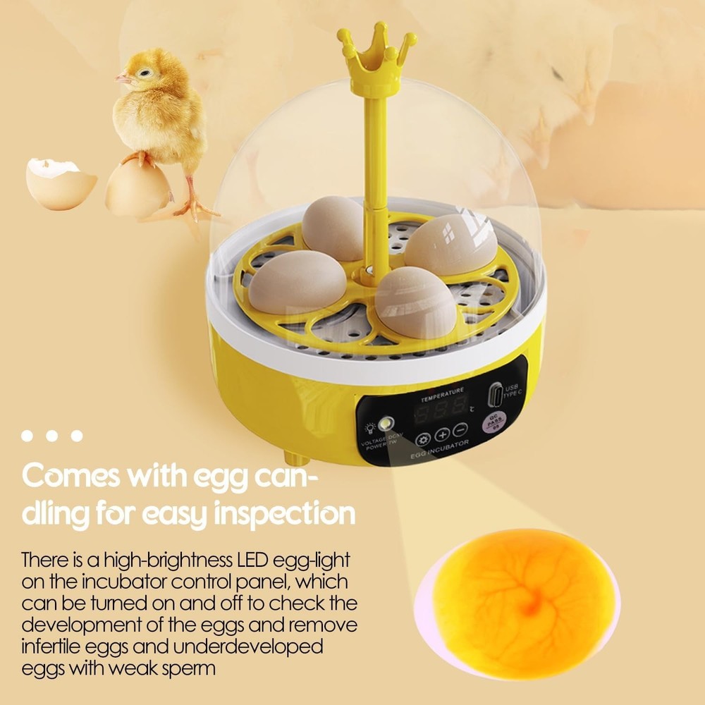 Egg Incubator with Manual Egg Turning & Humidity Control, Incubators