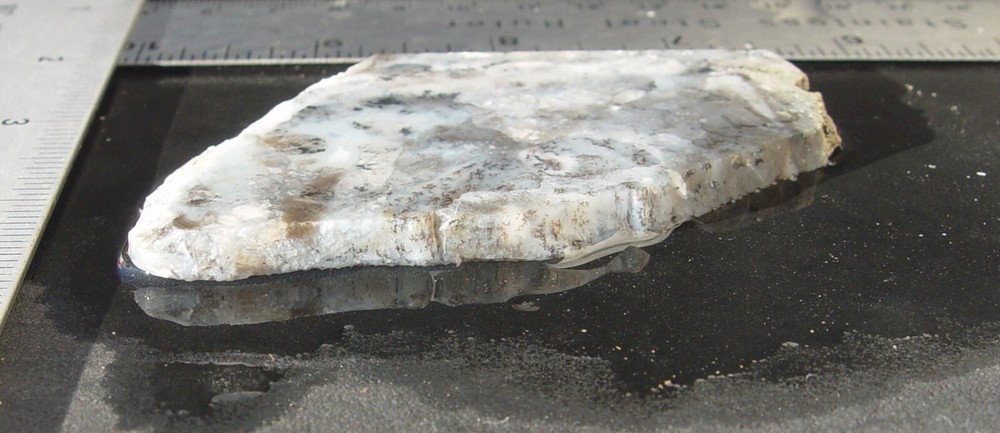 Dendritic Agate Lapidary Slab T1127