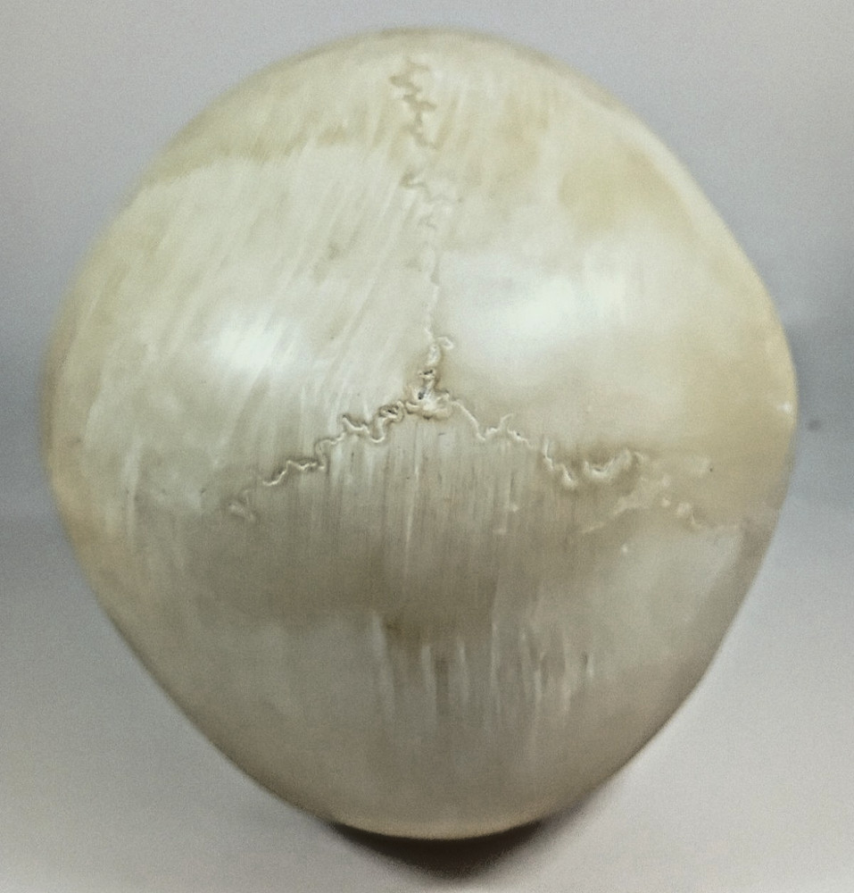 Faux HUMAN SKULL, Full Size Realistic Replica, Science Study Specimen.