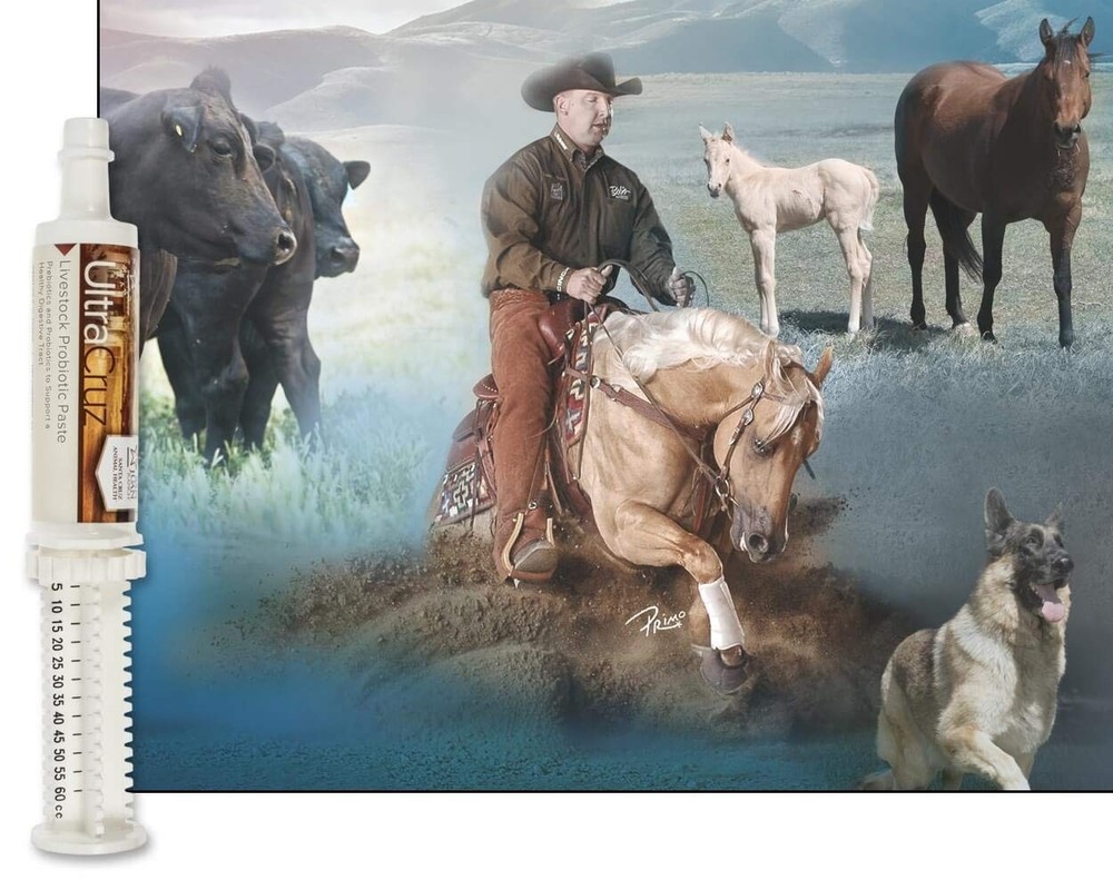 60 ml, Paste, 4 Day Supply