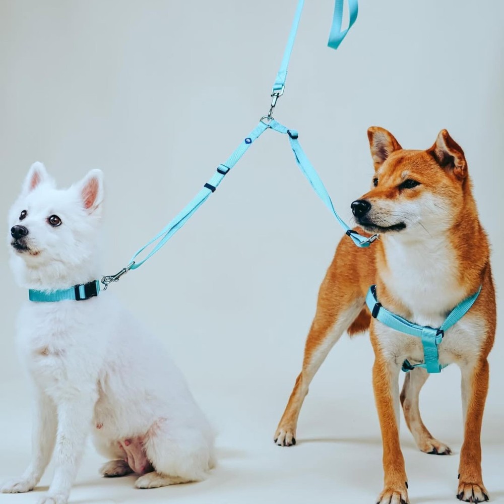 Essentials Durable Classic Double Dog Leash Coupler, Dark Orchid, Medium/Larg...