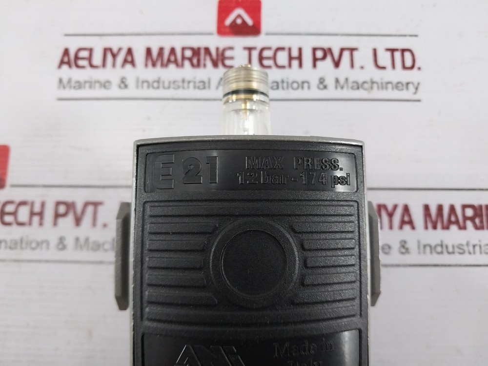 ANI E21 Modular Lubricator 12 BAR-174 PSI