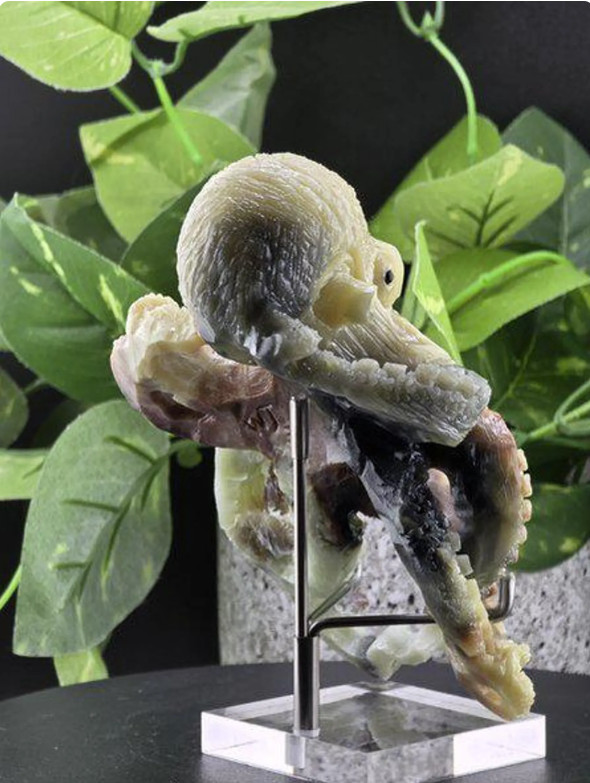 CARVED OCTOPUS AMAZON STONE STATUE SCULPTURE FIGURINE