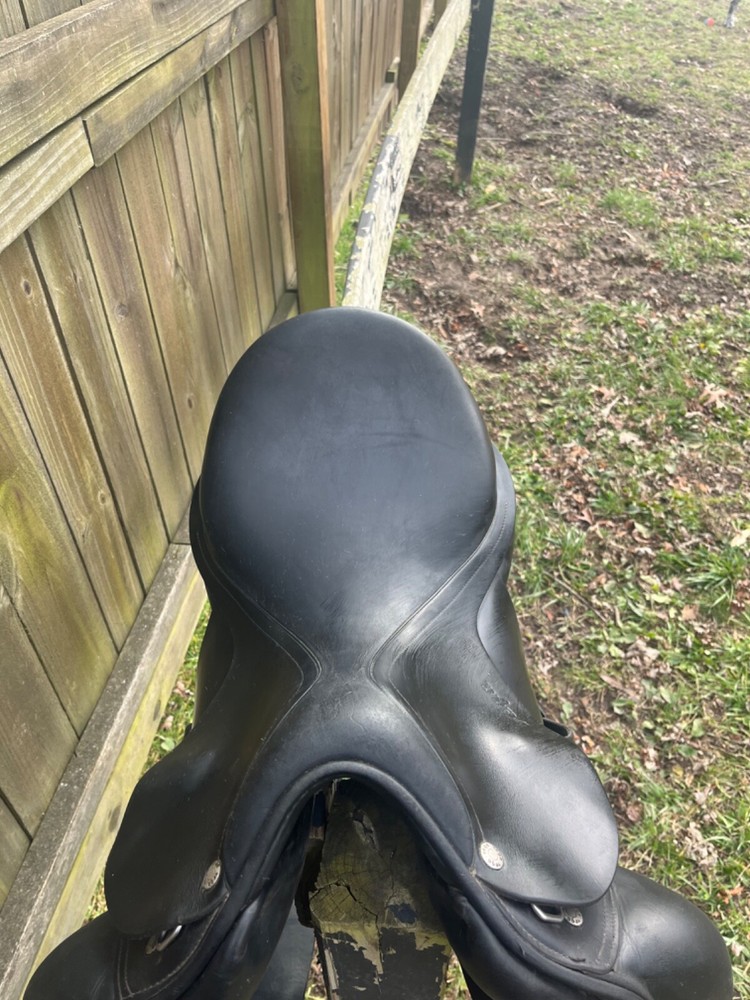 Amerigo dressage saddle 17"