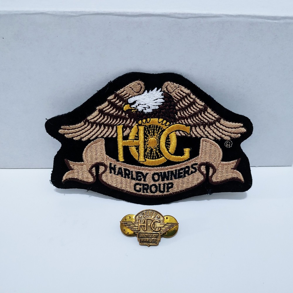 Harley Owners Group Hog Brown Eagle Patch HD Motorcycle 1995 Davidson & Pin #002