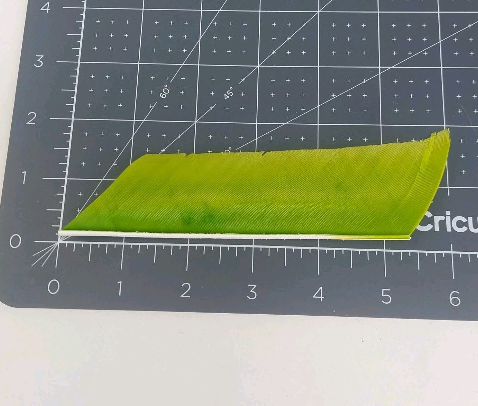 100 Pack Gateway Feathers 5" Right Wing: Cut Section Chartreuse Green 514RCSCH