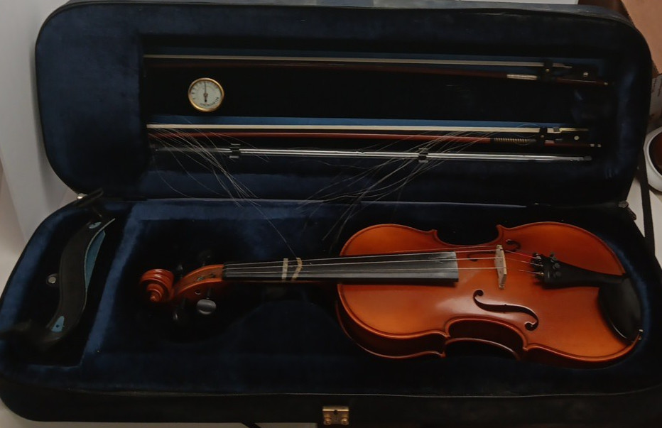 Bucharest Violin And Case