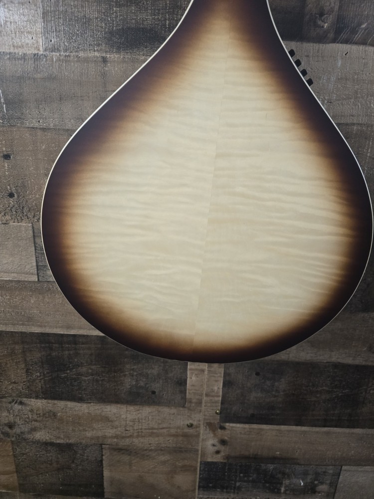 Mcneela ElectroMandolin Clean