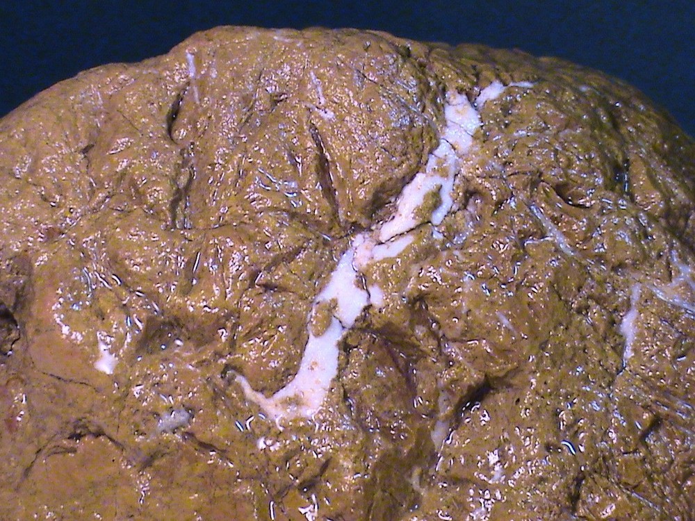 Chalcedony Jasper Agate, Solid Rough, Natural Lapidary Rock, 7 LBS, 4 OZ, #197