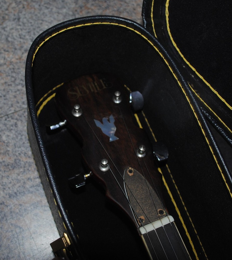 Seville 5-String Banjo