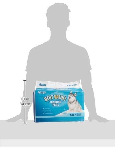 Training Pads 30"X36" 40 Count XXL