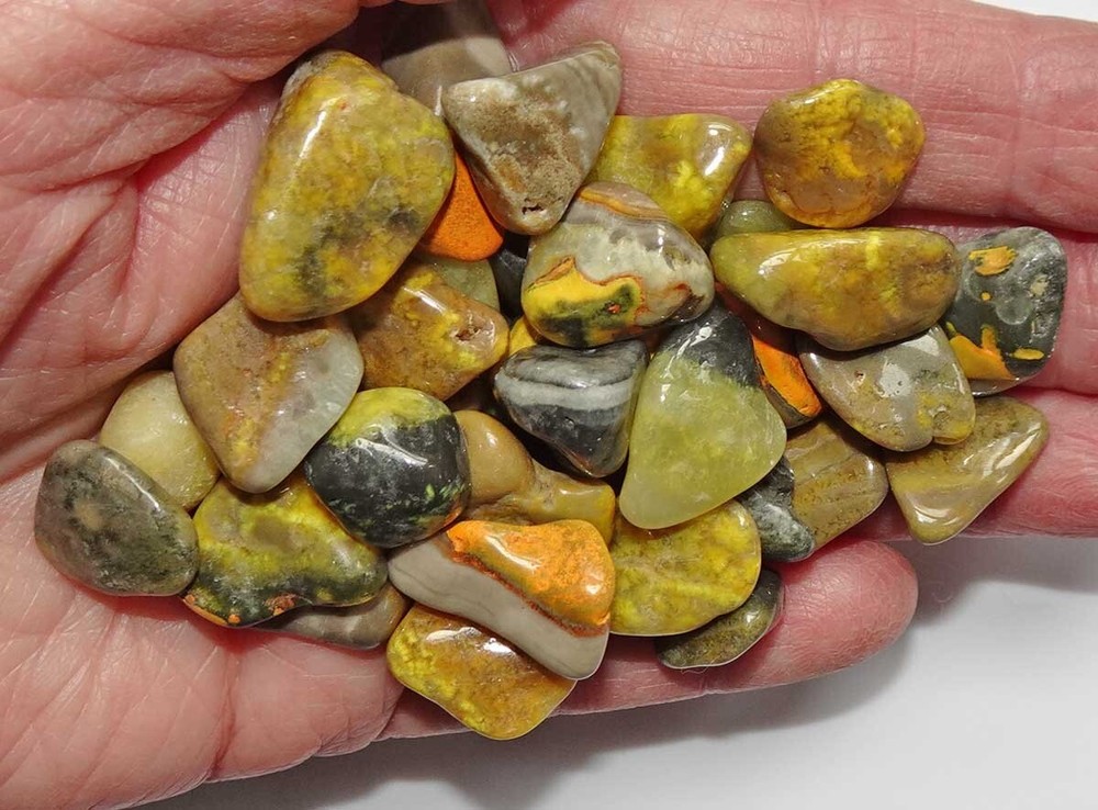 Bumblebee Jasper - 30 Tumbled Stones rt493d