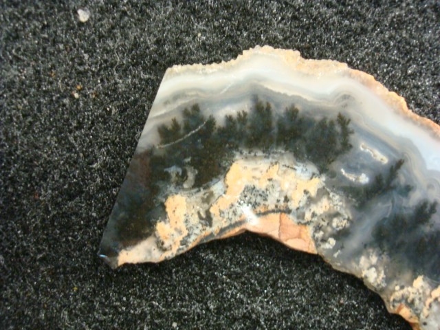 plume agate slab wyoming