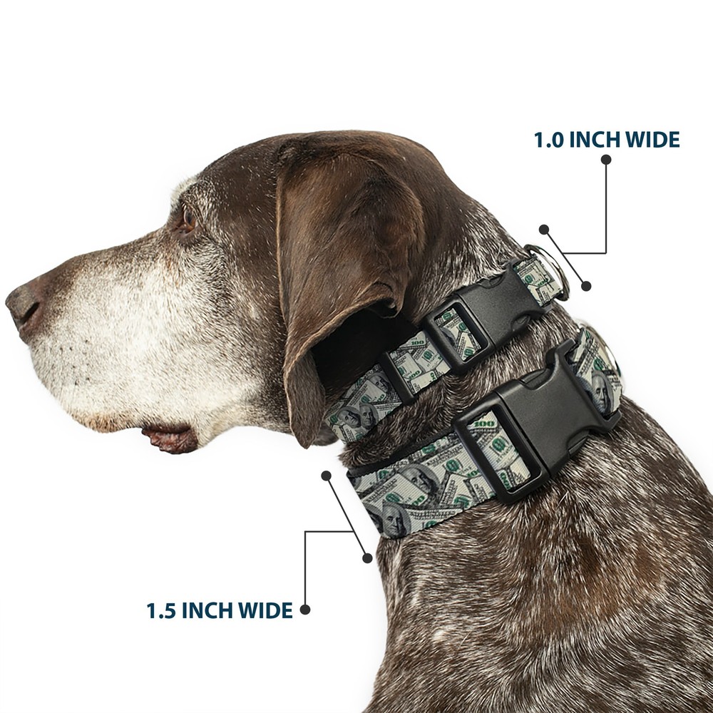 Plastic Clip Collar Benjamins Medium 11-16.5"