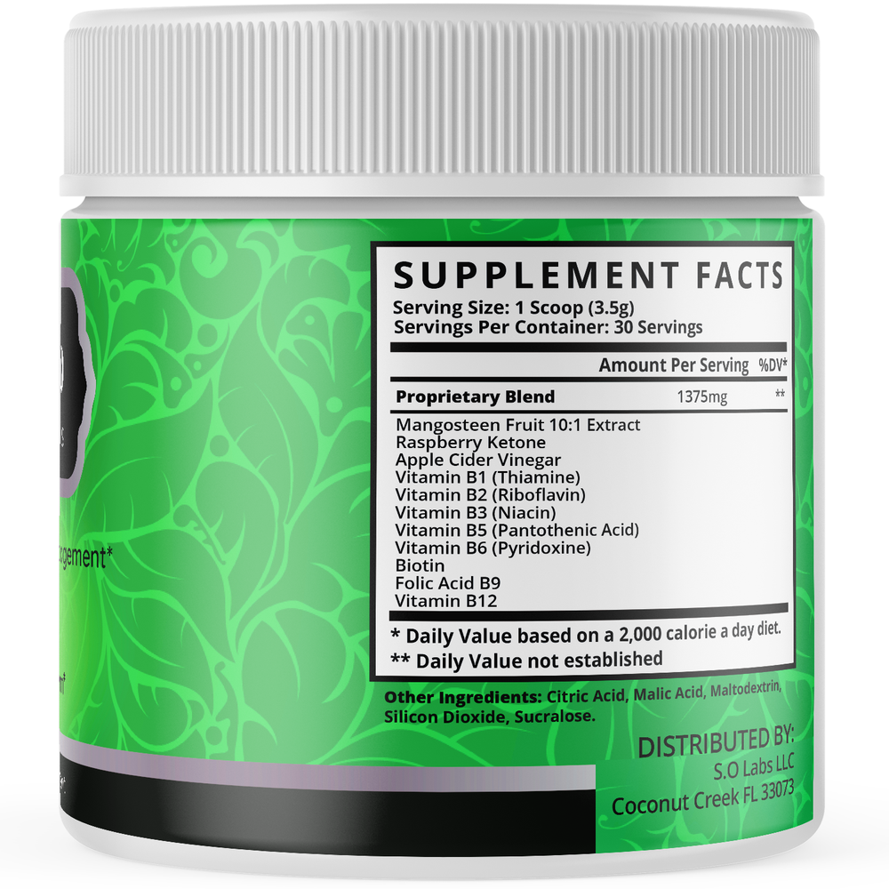 Fast Lean Pro Powder Weight Management Support Shake Support Metabolism (1 Pack)