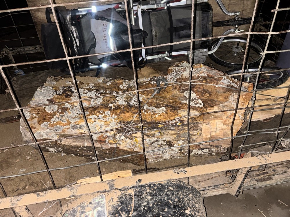 300 LB Petrified Wood Slab