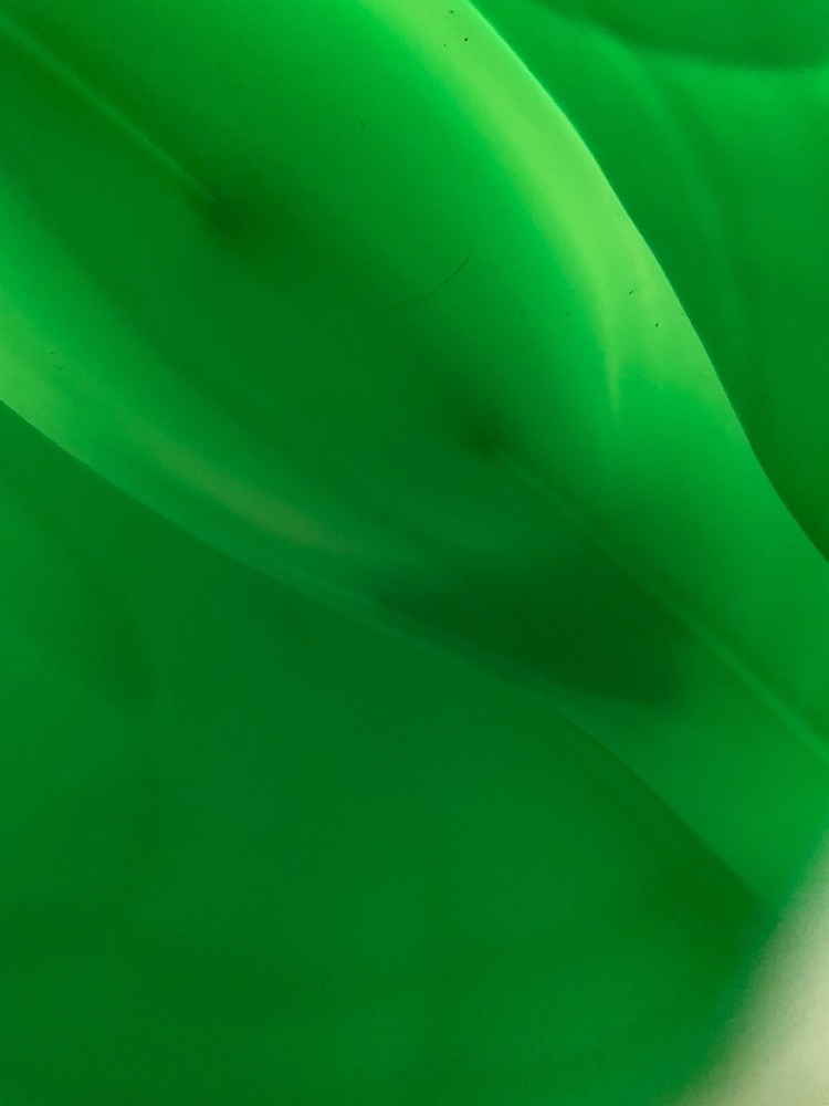 Green Plastic Snail Watering Can