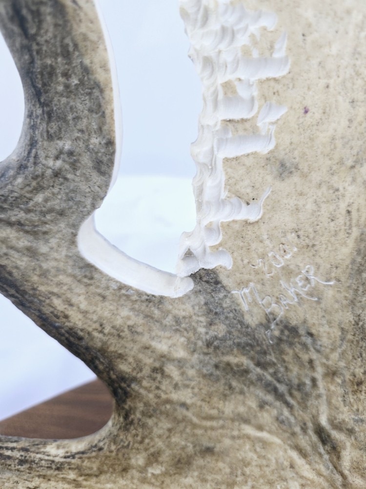 Monte Baker Moose Antler Carving 28x22"