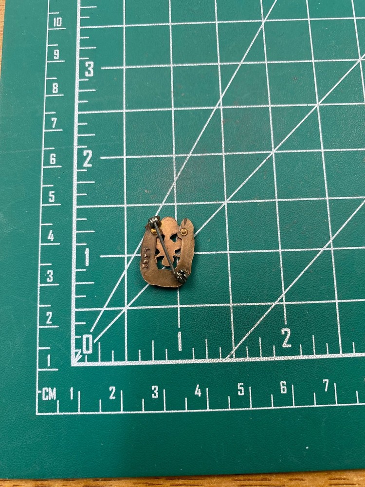 US Military Eagle Crest 10 Year Pin