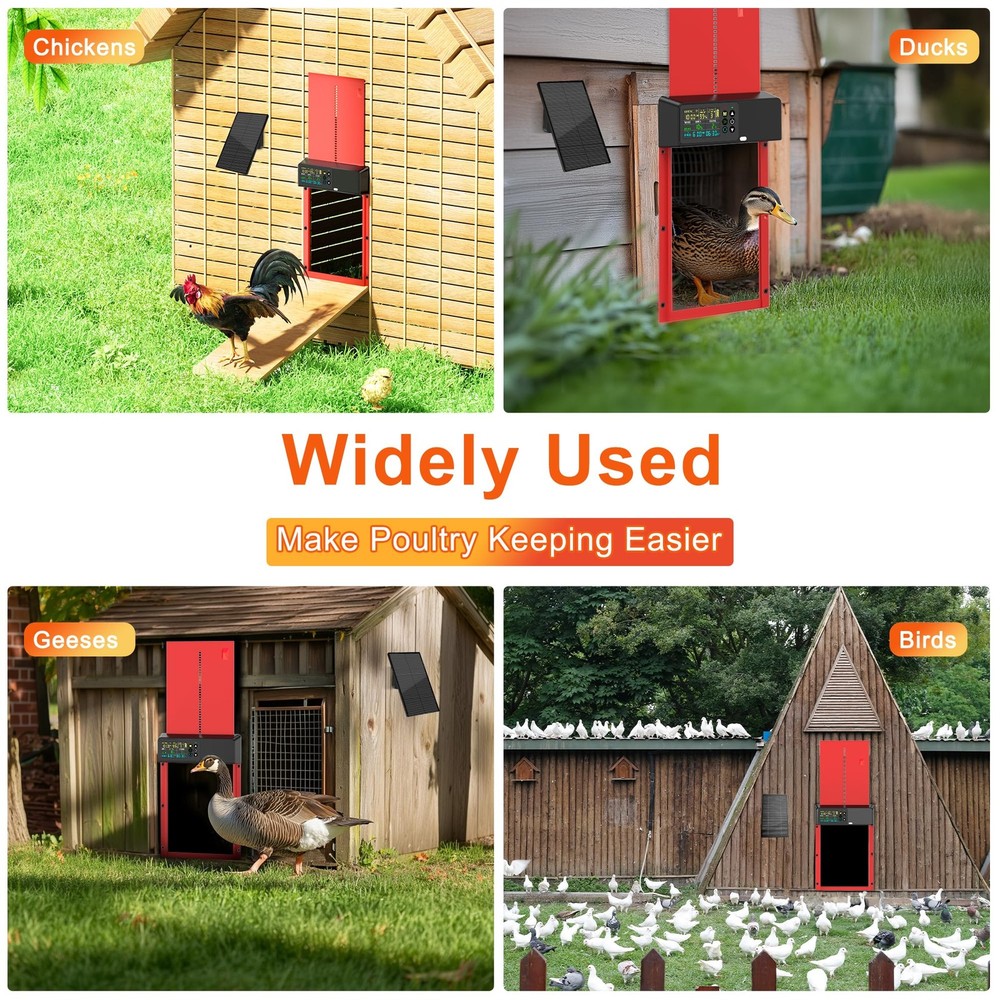 Chicken Coop Door Solar Powered with Programmable Remote Control, Automatic Alum