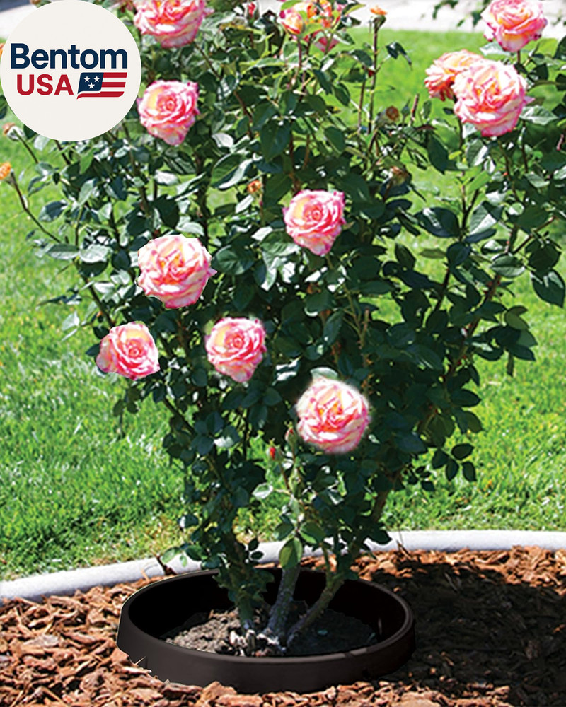 6 Pack 20" Tree & Shrub Watering Rings – Deep Root Irrigation Basin with Solid O