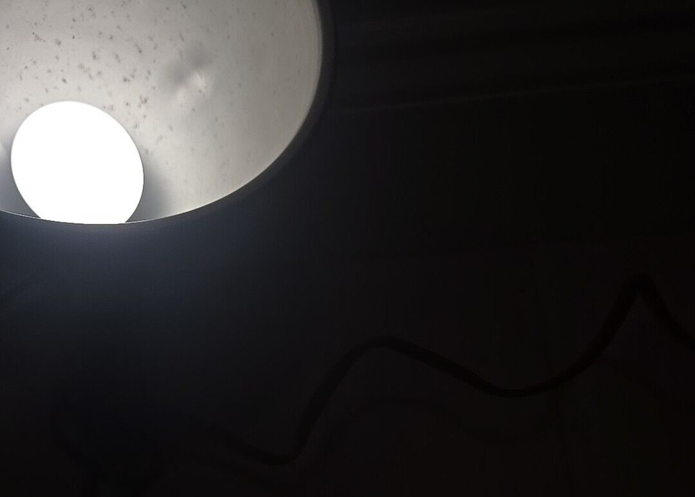 Vintage Smith Victor Light Reflector 7 1/2" Diameter Tested