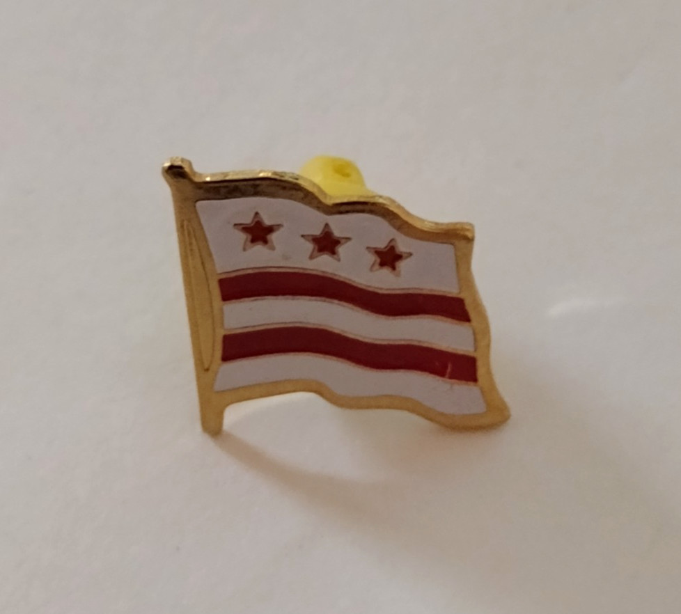 Washington DC Flag Pin