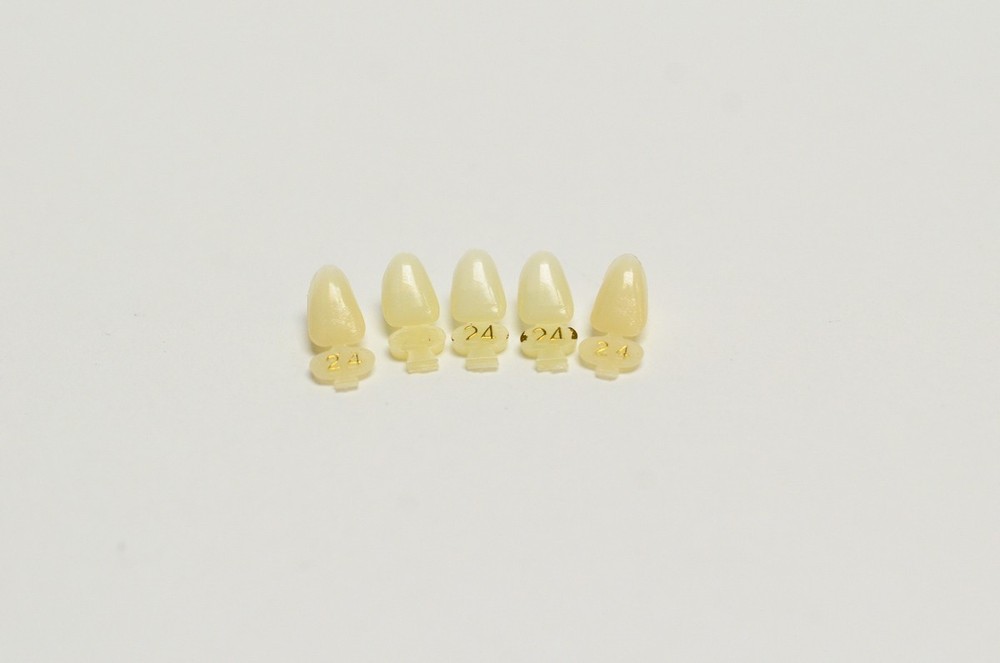 DENTAL POLYCARBONATE TEMPORARY CROWNS #24 (URL) UPPER RIGHT LATERAL 5/PACK