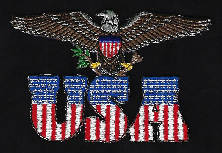 USA US SCRIPT FLAG BALD EAGLE PATCH US ARMY MARINES NAVY AIR FORCE COAST GUARD